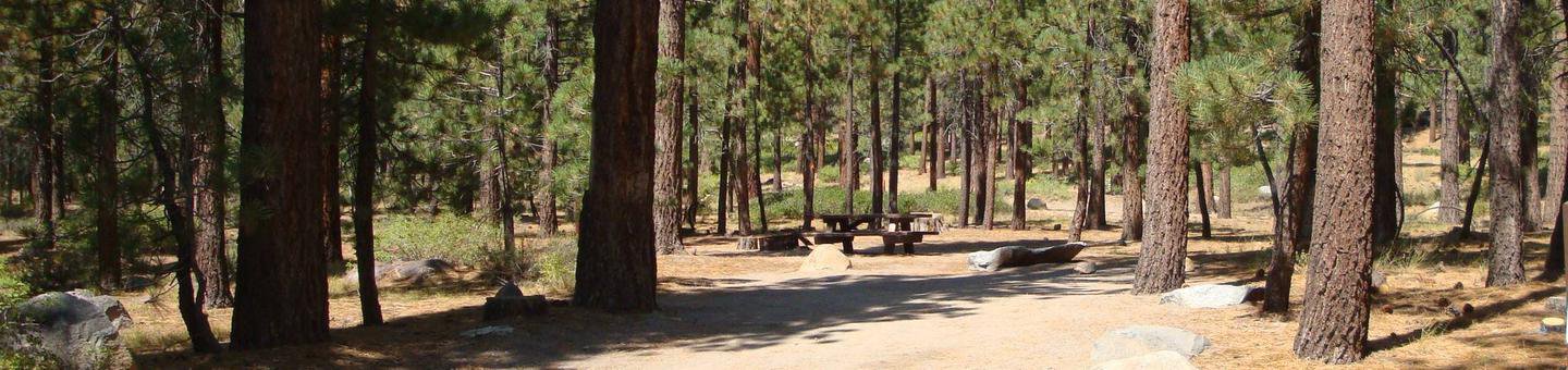 Old Shady Rest Campground SITE 4