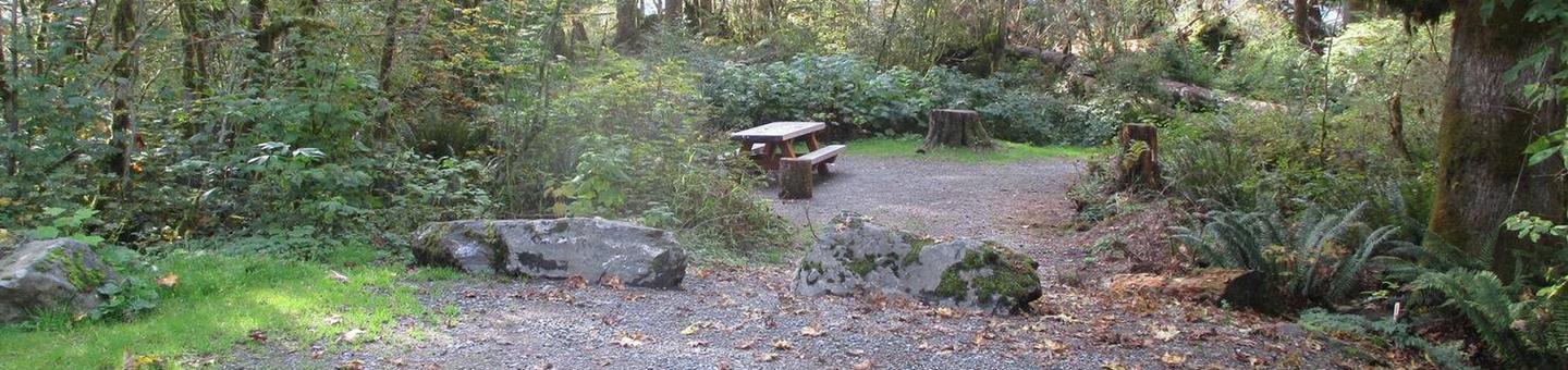 Site 8