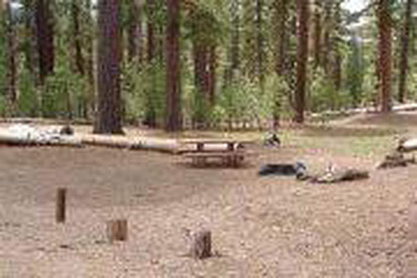 Site, Loop: Site B53, Loop B