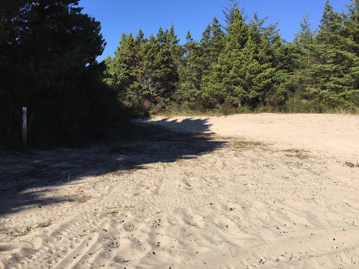 Siltcoos Sand Camp Site 20