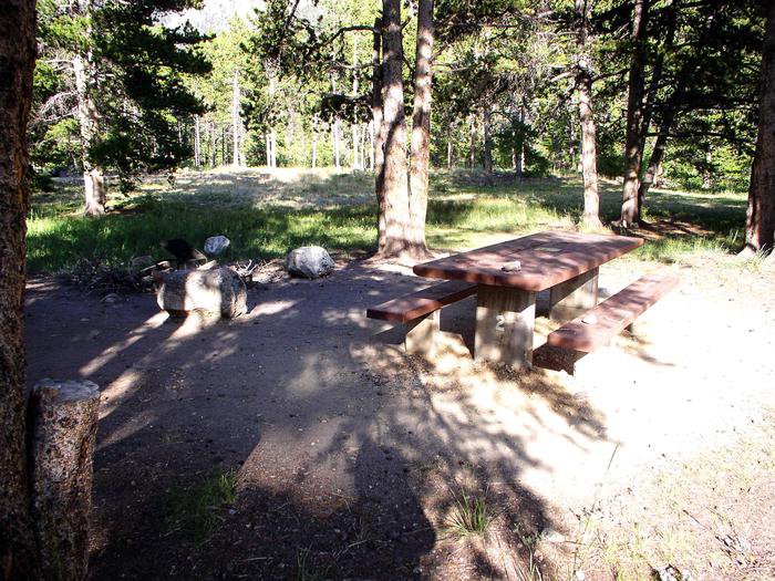Limber Pine Site 2