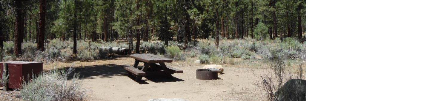 site 34