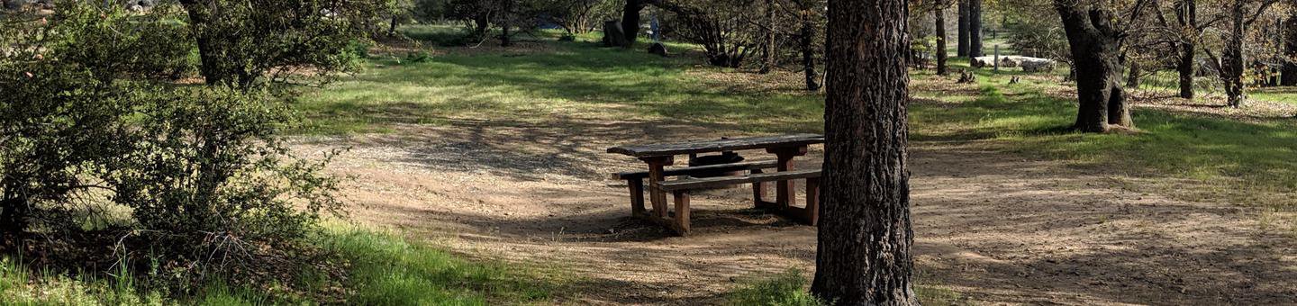 Laguna Campground site #29 featuring picnic table and camping space. 