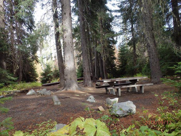Nice site for a tent or RV access to the American River