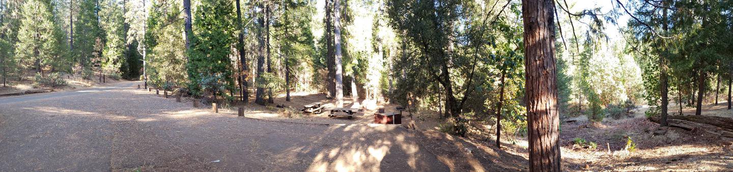 Shirttail Creek Campsite 20