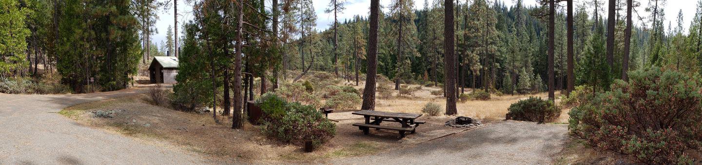 Shirttail Creek Campsite 10