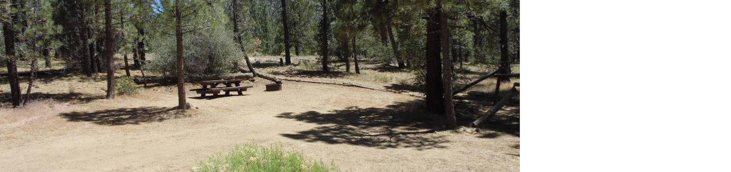 site 4