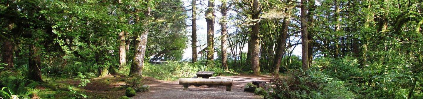 Site 7