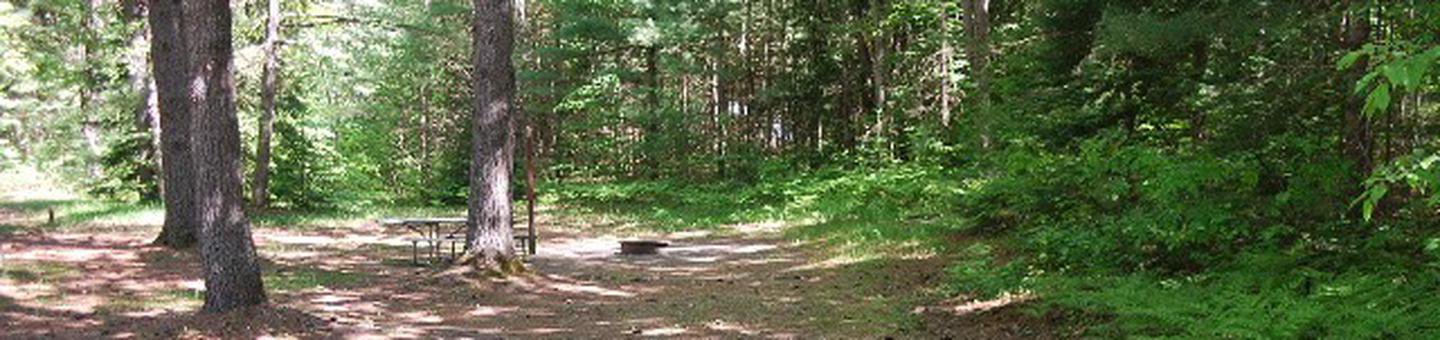 Widewaters Campground site #03