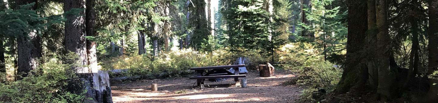 Trapper Creek 29