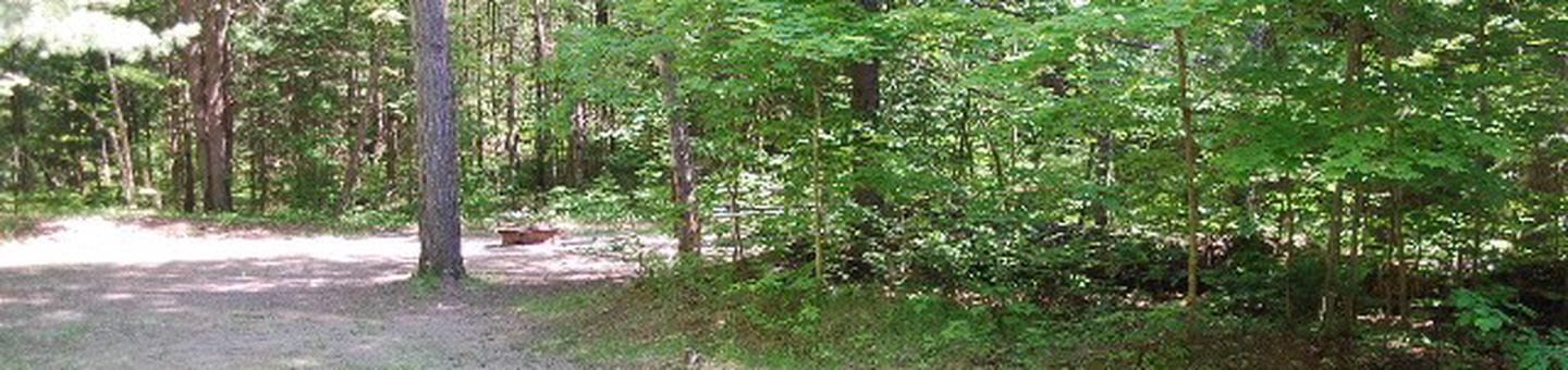 Widewaters Campground site #05