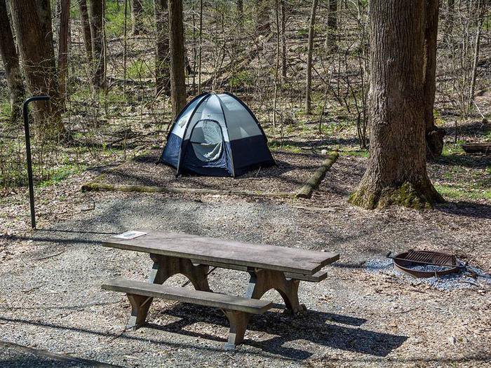 Owens Creek site #28