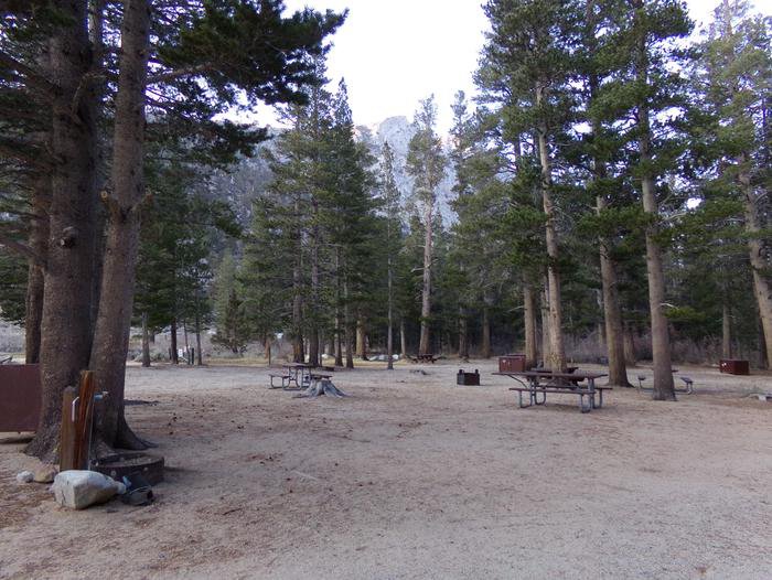 Palisades Group Campground featuring large, wooded picnic and camping area by the creek. 