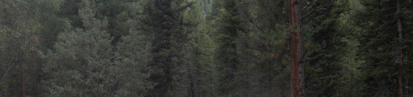Campsite #3
