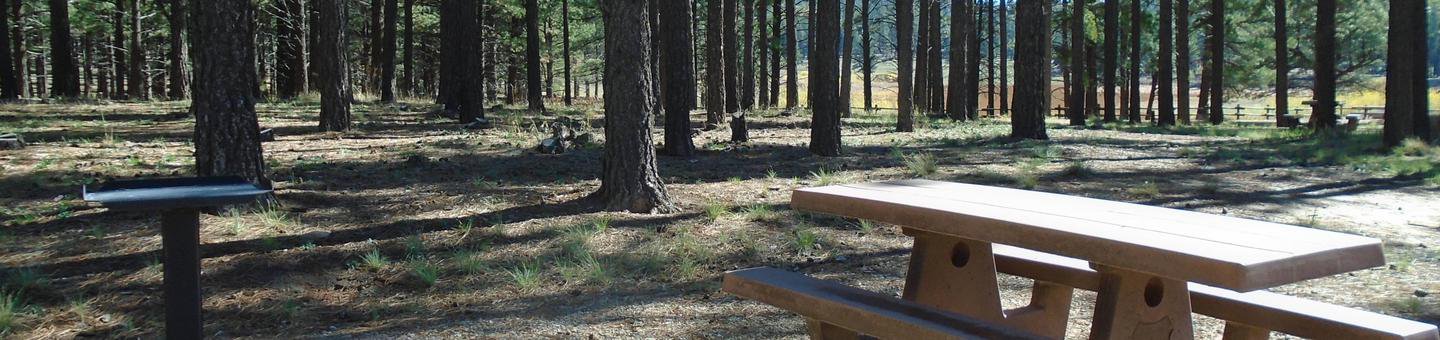 Campsite # 12