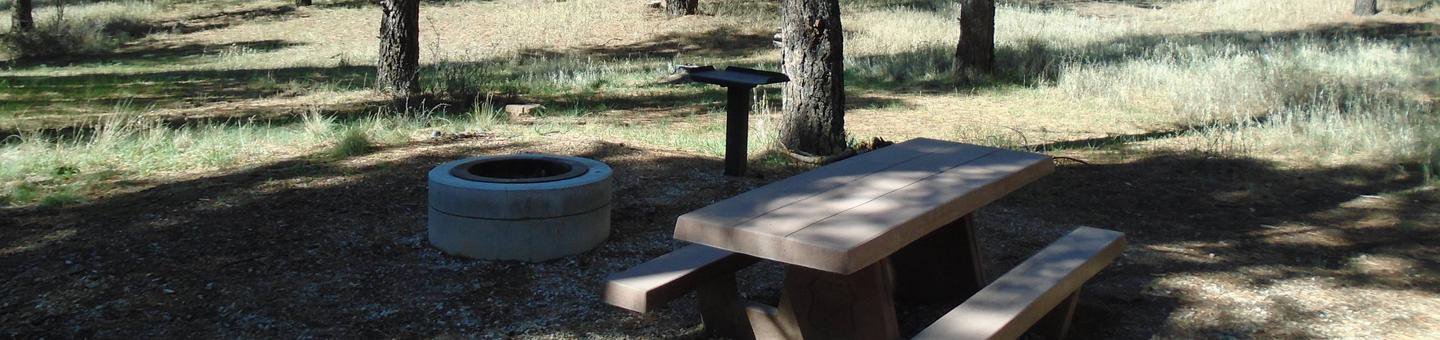 Campsite # 29