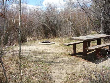 Campsite 8