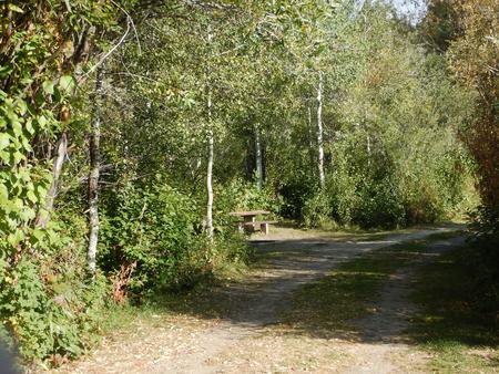 Campsite 11
