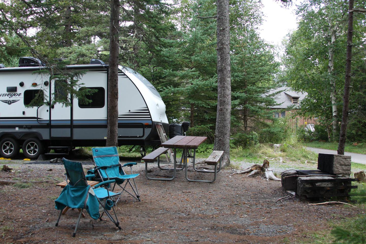 site C40