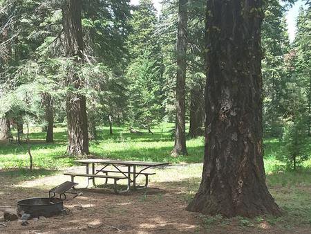 Campsite Overview