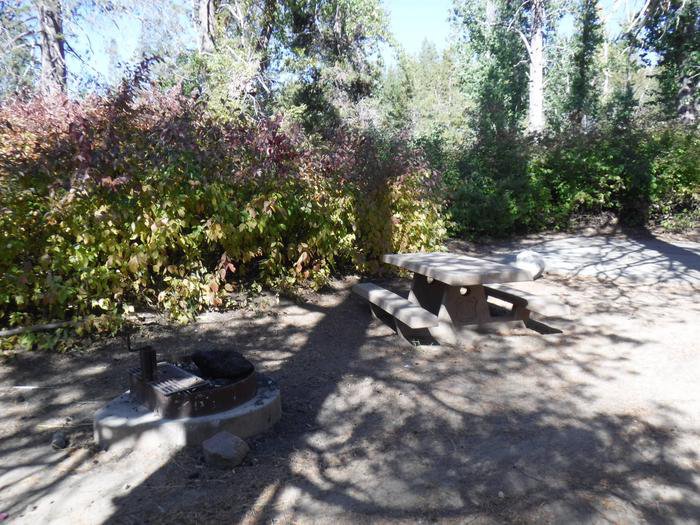 Campsite 9
