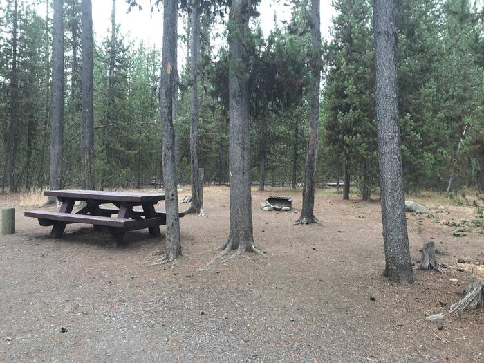 Site 5