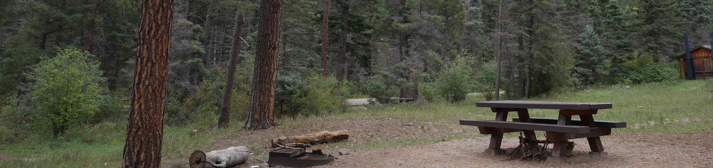 Campsite #21