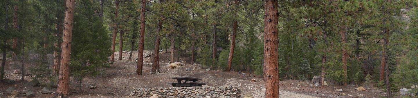 Campsite #7