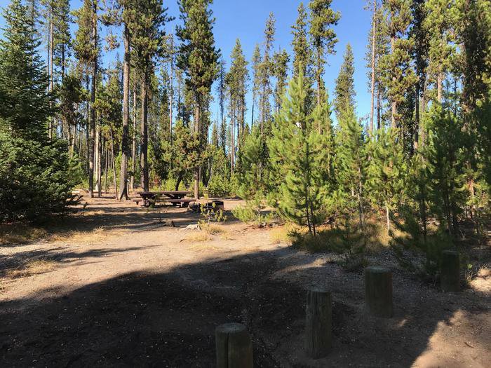 Site 15