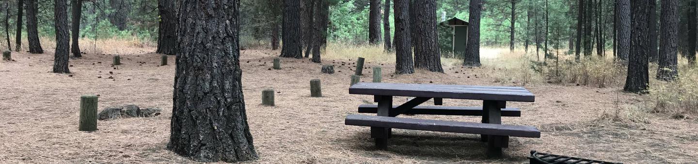 Cold Springs Campground #10