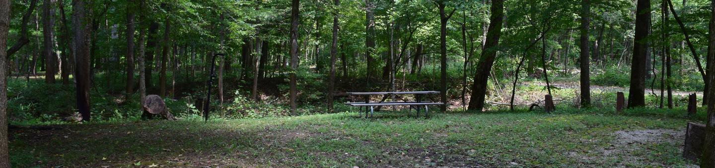 Markham Springs Site 26
