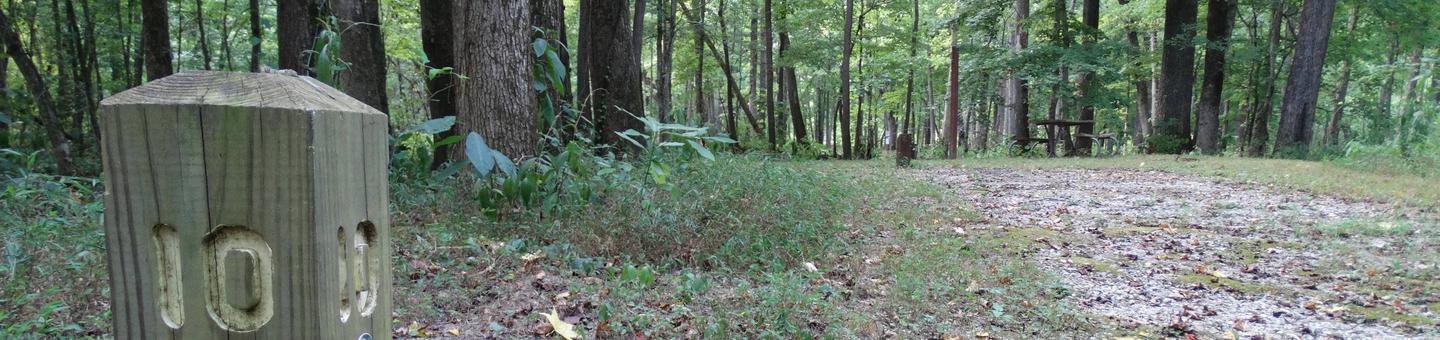Markham Springs Site 10