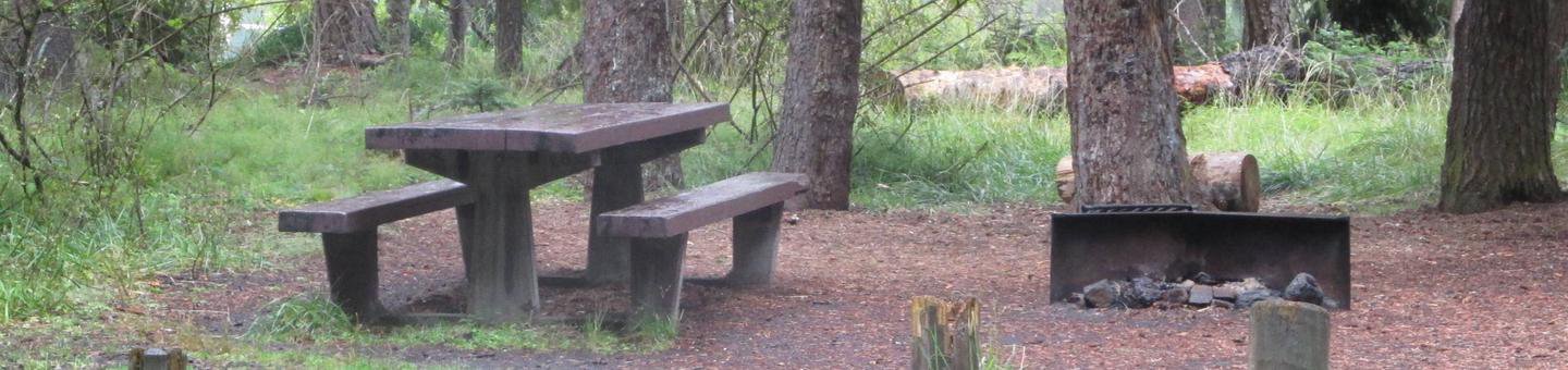 Site 16
