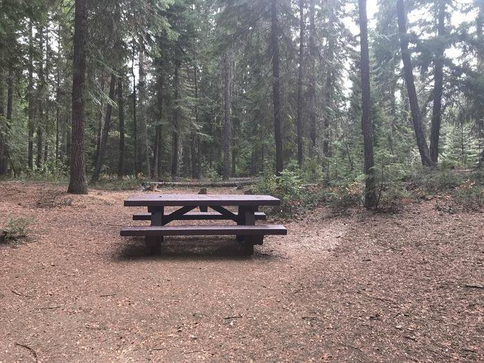 Cultus Lake Campsite 1