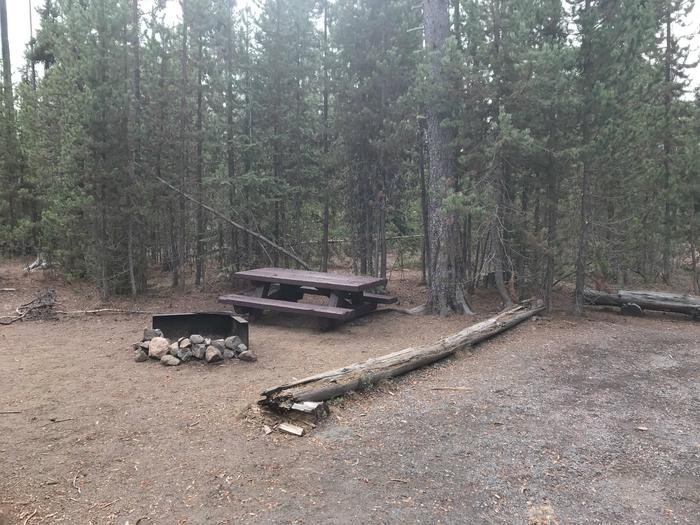 Little Cultus 29