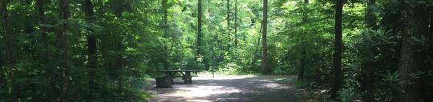 Site 7