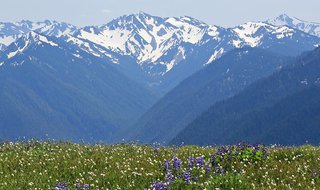 Olympic National Park