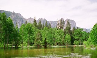 Yosemite National Park