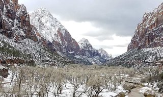 Zion National Park