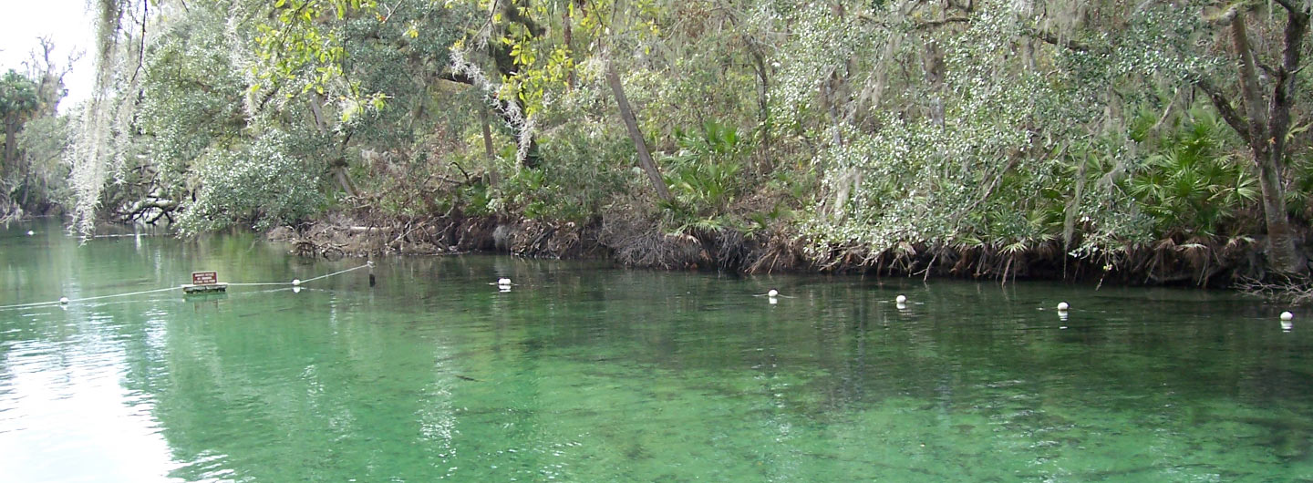 Blue Springs State Park