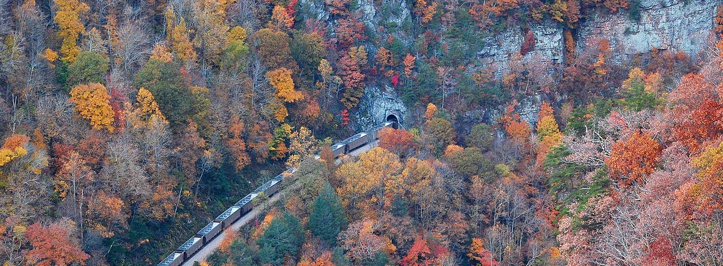 Are Dogs Allowed In Breaks Interstate Park