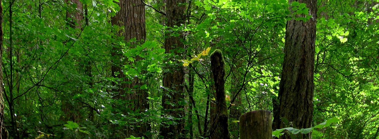 Ainsworth State Park
