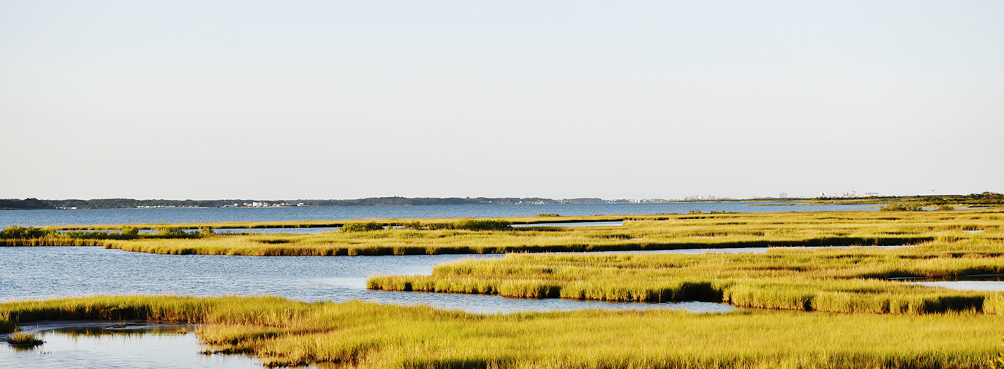 Assateague State Park