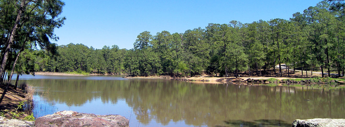 Bastrop State Park