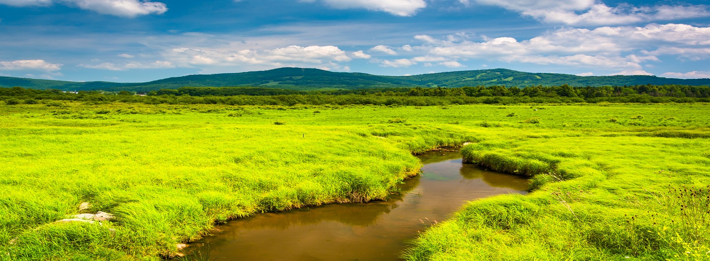 Canaan Valley Resort State Park