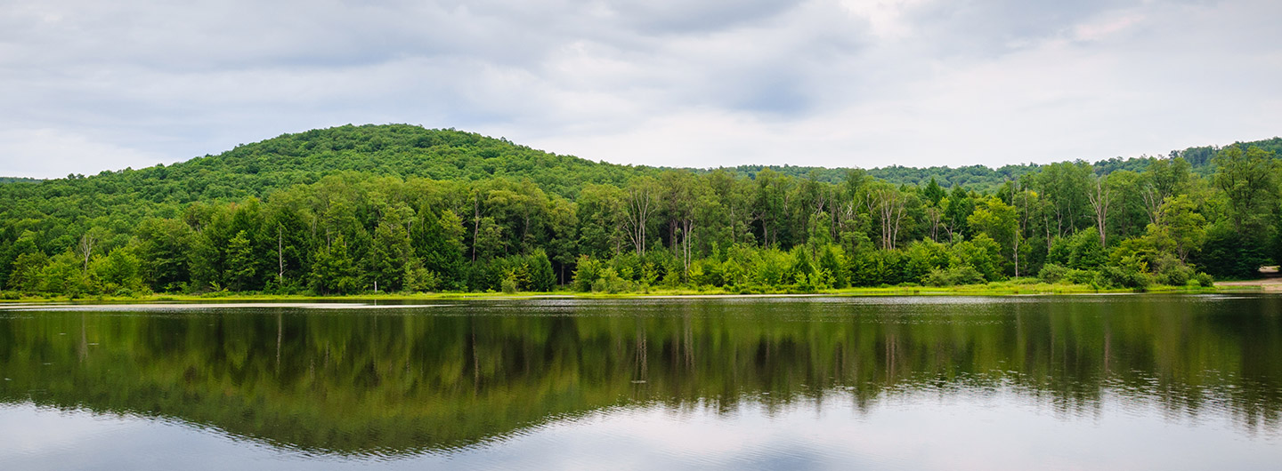 Chapman State Park