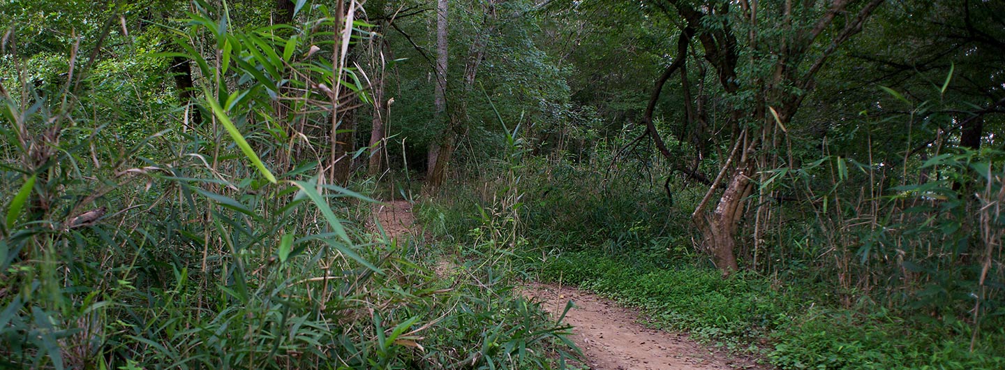 Chattahoochee Bend State Park