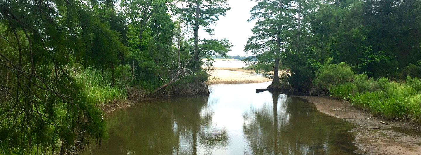 Chippokes Plantation State Park