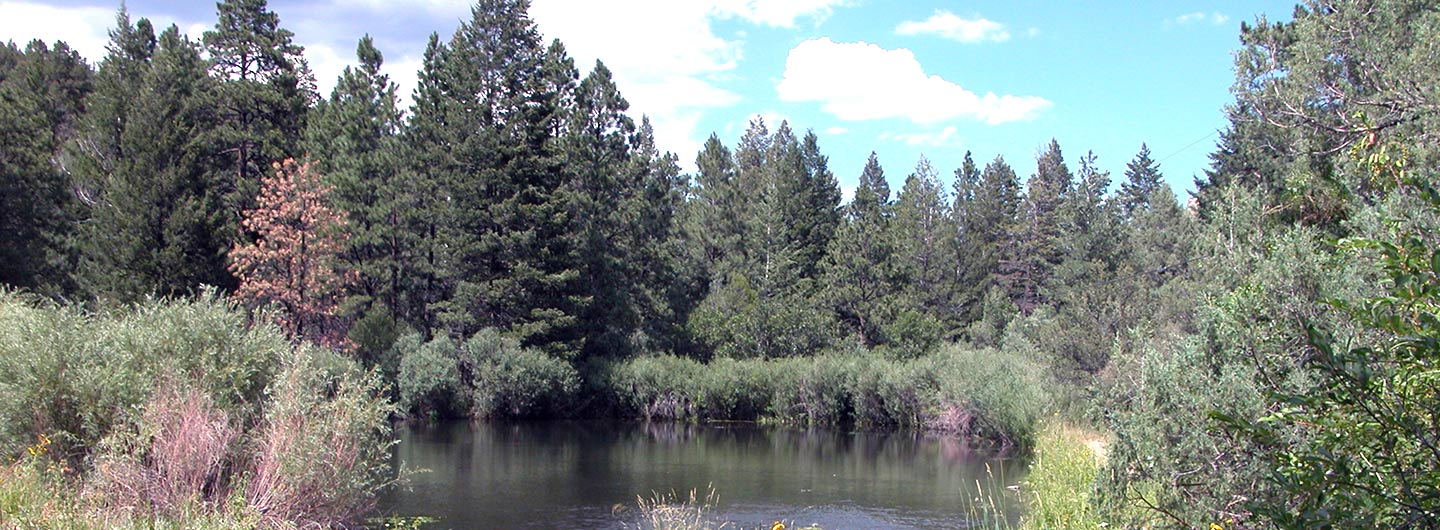 Cimarron Canyon State Park