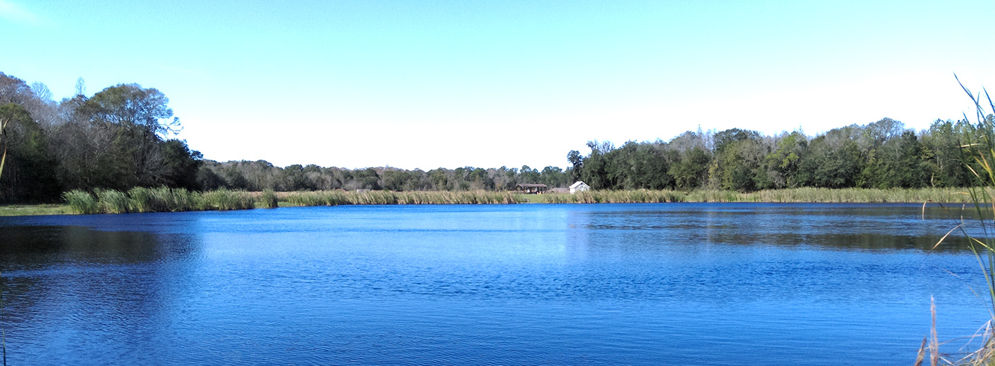 Colt Creek State Park